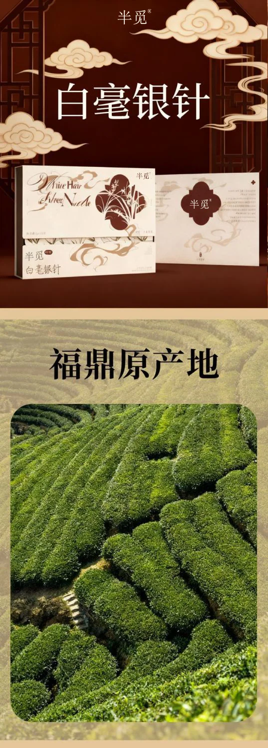 福鼎白茶 · 白毫银针 详情 1